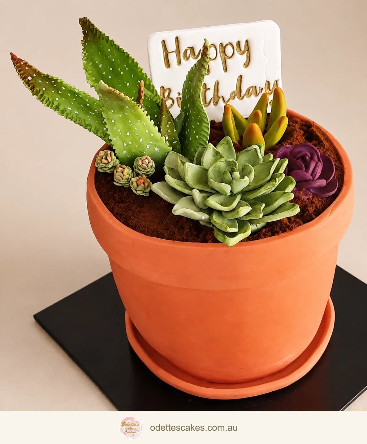 Birthday cake sculpted as a terracotta plant pot filled with detailed green succulents